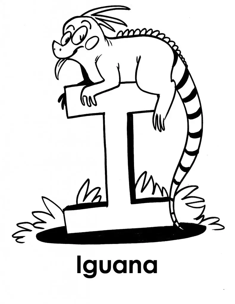 Буква i — Iguana