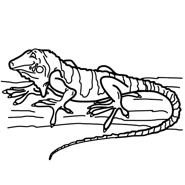 dibujos de iguanas para colorear